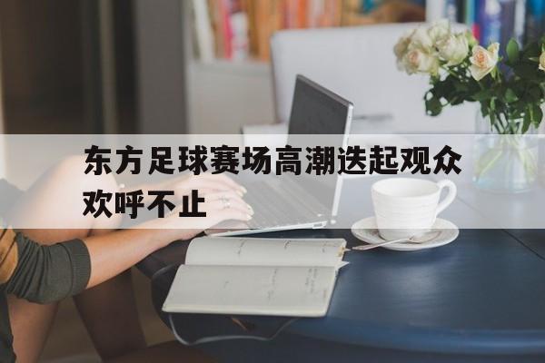 东方足球赛场高潮迭起观众欢呼不止的简单介绍