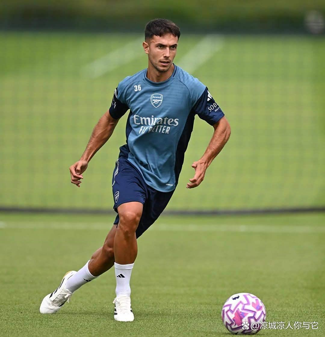 意甲球队备受外界质疑，或将用实力证明自己的简单介绍