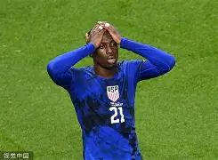 尤文图斯客场不敌惜败遗憾出局(尤文图斯队简介)